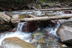 Avalanche Lake Trail at Glacier National Park in Montana Avalanche Lake Trail at Glacier National Park in Montana
