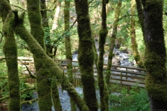 Path Bridal Falls Oregon Path Bridal Falls Oregon