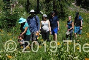 Bornstein Family Hiking in wildflower field in Crested Butte, Colorado