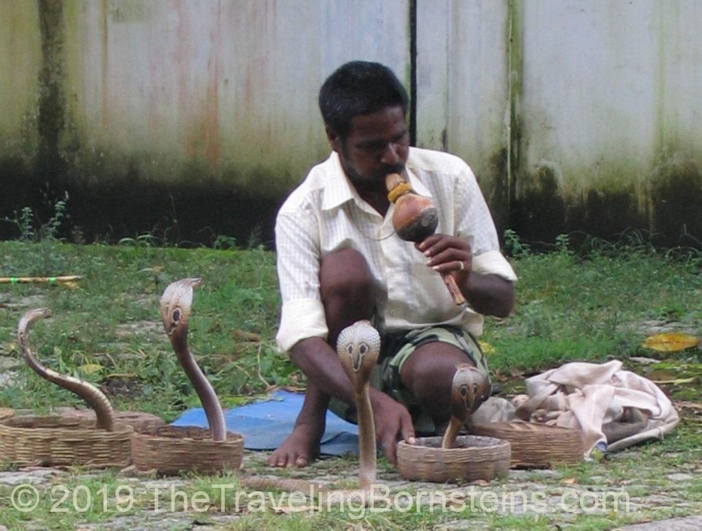 Snake charmer in Kochi India