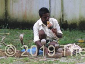 Snake charmer in Kochi India