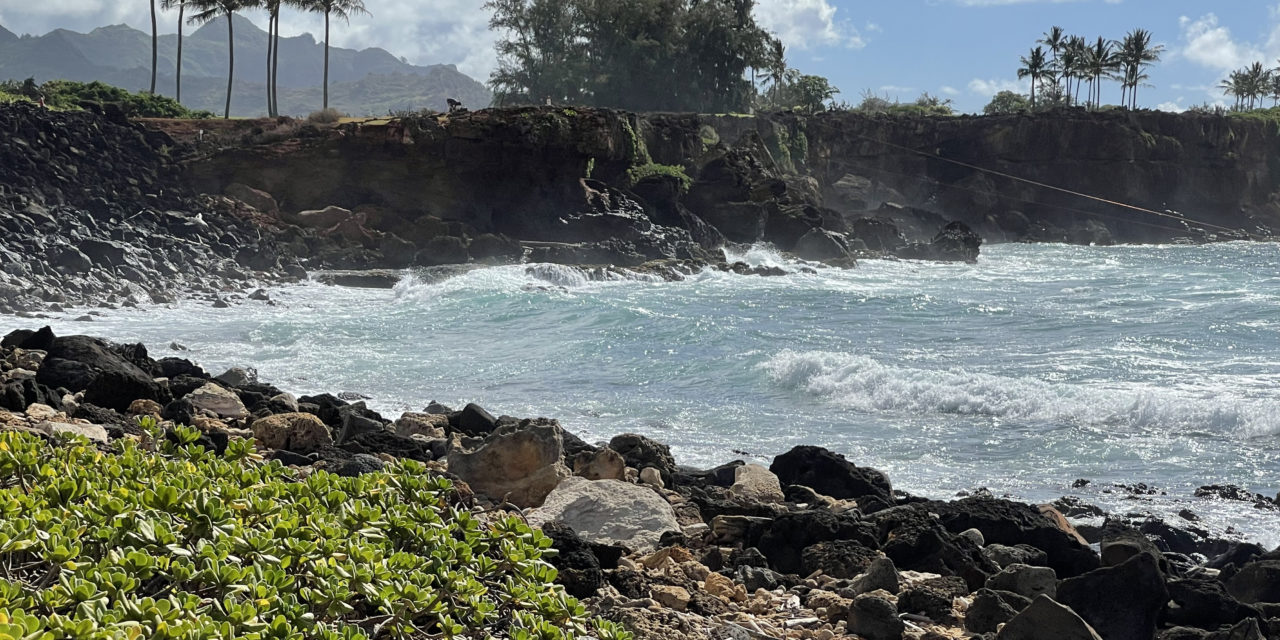 SBornstein Kauai Hiking along the coastline
